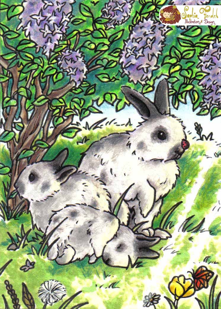 Sophia-Fendel-Kinderbuchillustration-Frühling-Hasen